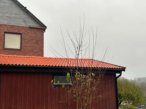 Nytt hustak